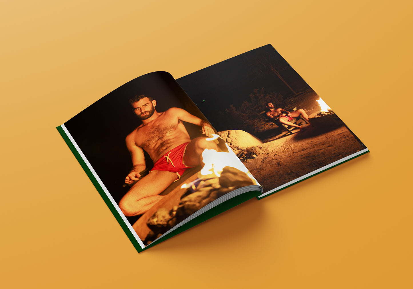 SIGNED Desert Dreams Hardcover Book