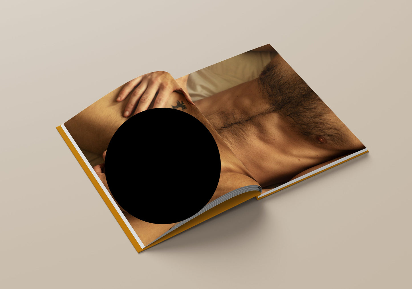 Apartment Series HARDCOVER Book (2nd Edition)