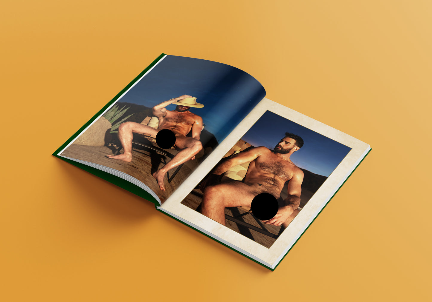 SIGNED Desert Dreams Hardcover Book
