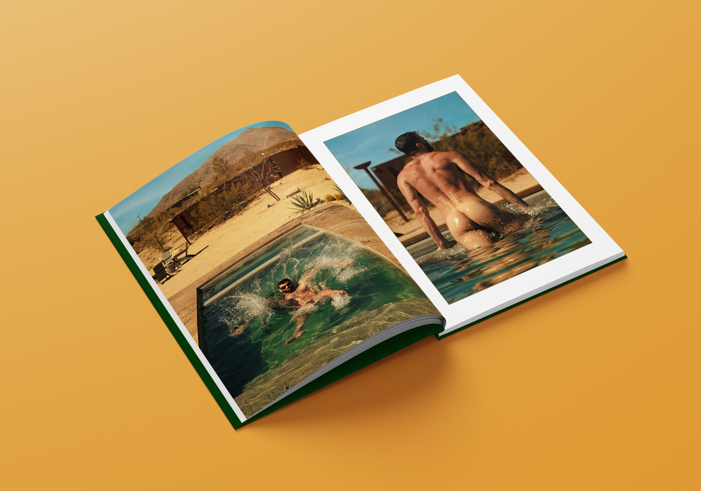 SIGNED Desert Dreams Hardcover Book