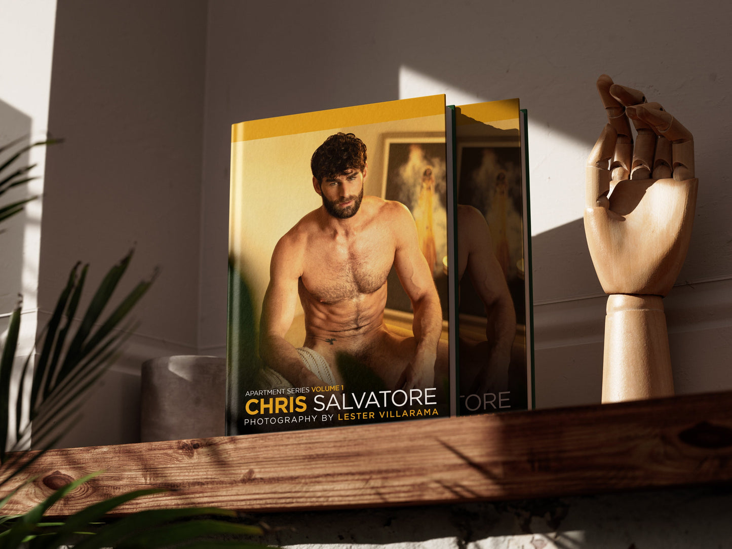 Apartment Series Book Mystery Underwear Bundle