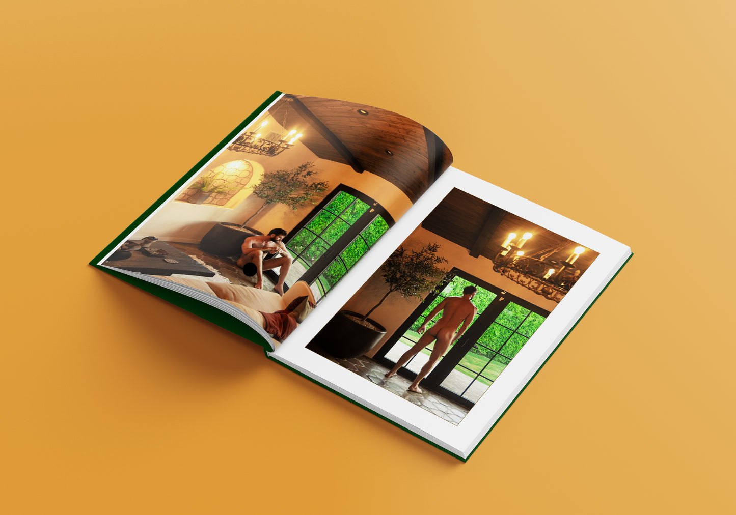 SIGNED Desert Dreams Hardcover Book