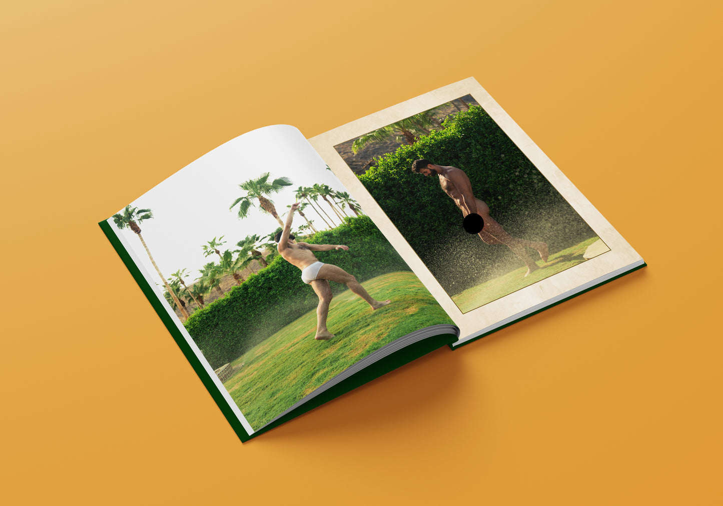 SIGNED Desert Dreams Hardcover Book