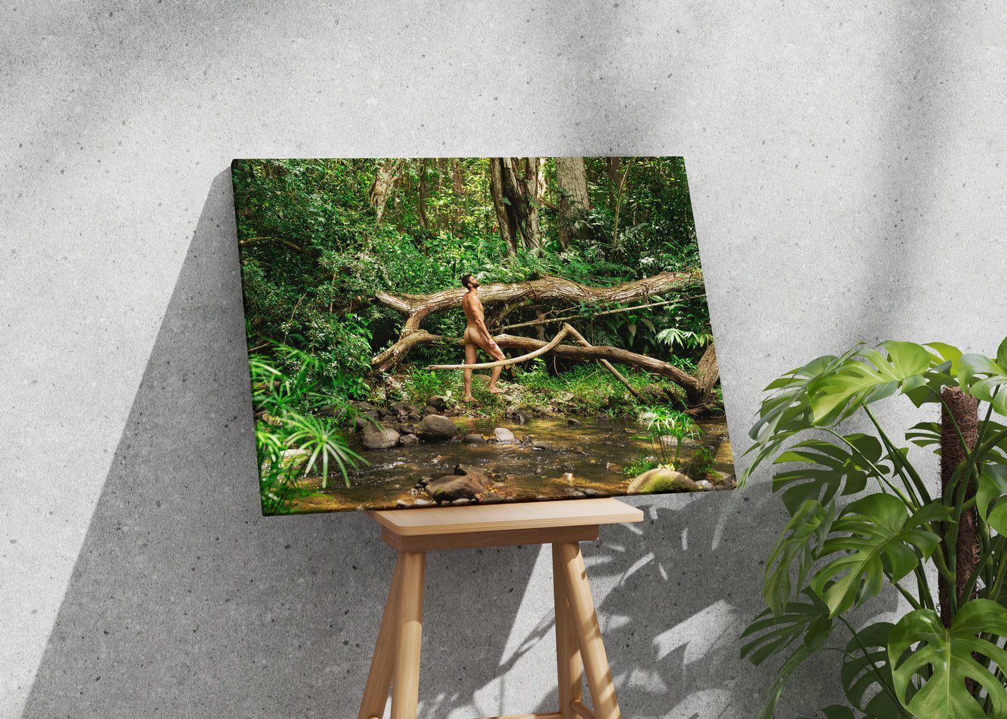 Island Boy "STREAM" 16 x 24 Canvas Print