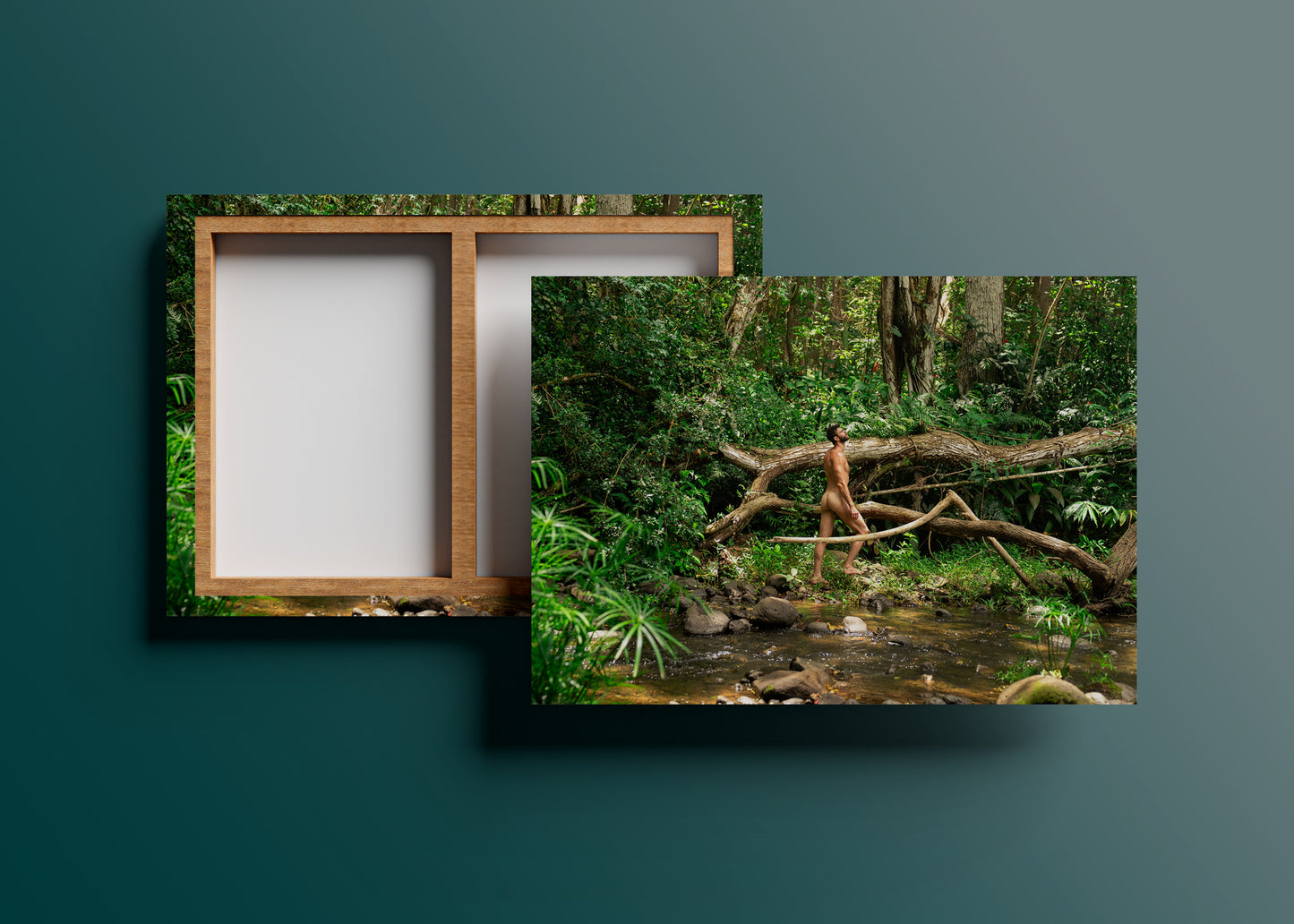 Island Boy "STREAM" 16 x 24 Canvas Print